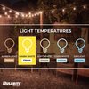 Bulbrite 30-foot String Light Kit with Clear Shatter Resistant Vintage Style S14 LED Light Bulbs, 2PK 862819